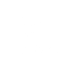 Clean home icon