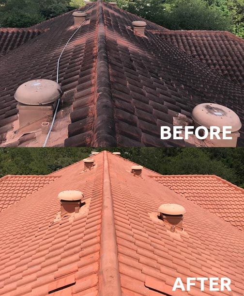Colbert Roof Clean after Soft Wash
