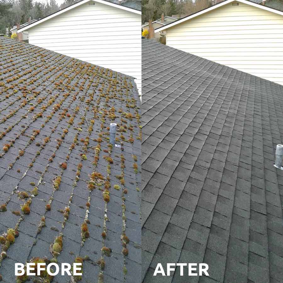 Roof Cleaning in Winterville, GA